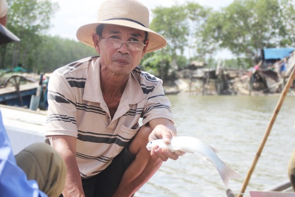 Người nuôi cá, cua đầm Thị Nại lo “mất tết” ảnh 5