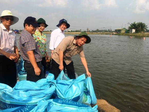 Năm 2019: Xuất khẩu cá tra nỗ lực đạt 2,4 tỷ USD ảnh 3