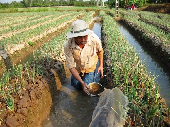 Chuyển đổi 126.333ha đất lúa kém hiệu quả trong năm 2019 ảnh 3