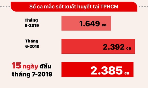 Bùng phát dịch sốt xuất huyết diện rộng ảnh 3