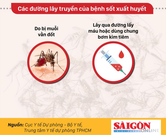 Bùng phát dịch sốt xuất huyết diện rộng ảnh 7