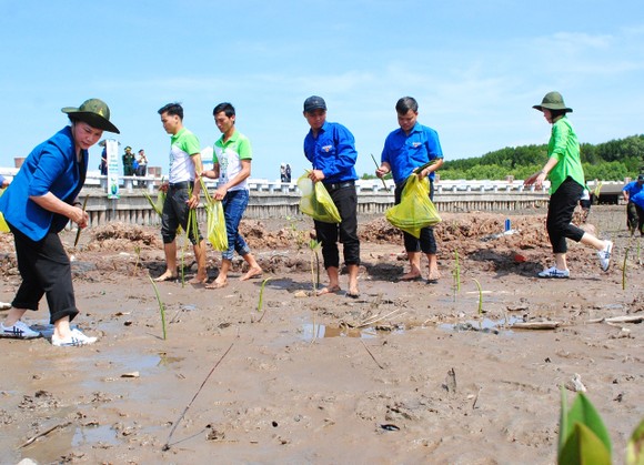 Quỹ 1 triệu cây xanh cho Việt Nam đến Đất Mũi ảnh 1