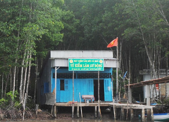 Lập quỹ đen và thanh toán khống tiền tỷ tại VQG Mũi Cà Mau ảnh 1