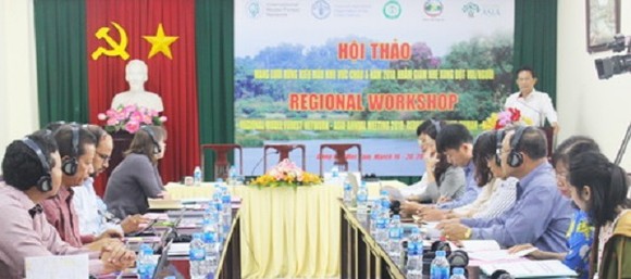 Hội thảo quốc tế về rừng, ngăn xung đột giữa người và voi ảnh 1