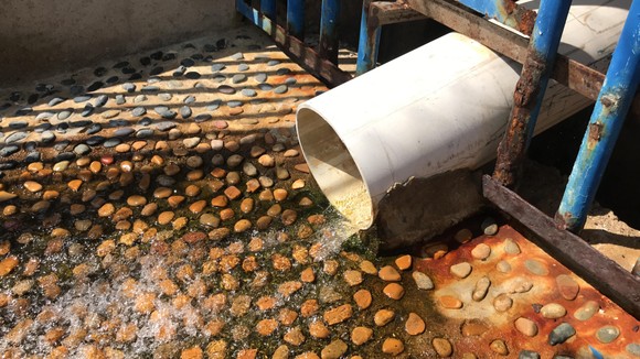 Công ty AB Mauri không có cống ngầm xả thải ảnh 2