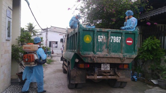 TPHCM phát hiện dịch tả heo châu Phi tại quận 9 ảnh 1