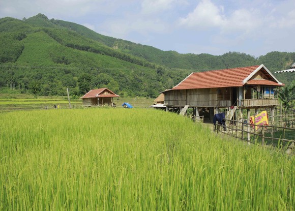 Quảng Ngãi: Dân vùng sạt lở vẫn chưa an cư ảnh 1
