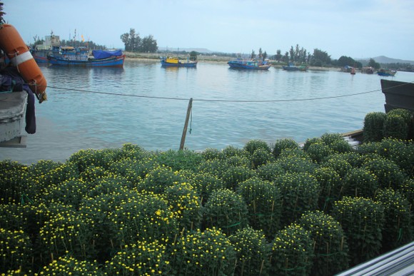 Những chuyến tàu 'chở tết' ra đảo Lý Sơn ảnh 3