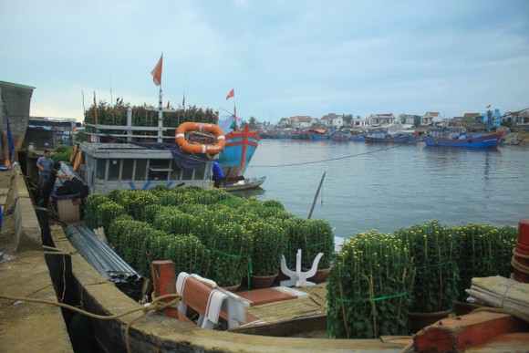 Những chuyến tàu 'chở tết' ra đảo Lý Sơn ảnh 1