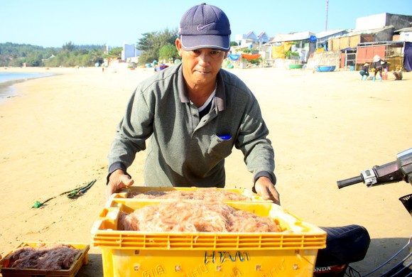 Ngư dân Quảng Ngãi trúng đậm mùa ruốc biển ảnh 9