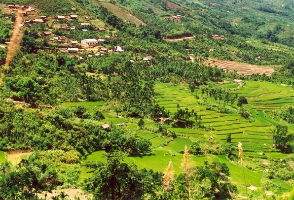 Tìm cách tháo 'vật thể lạ', một người tử vong ảnh 1