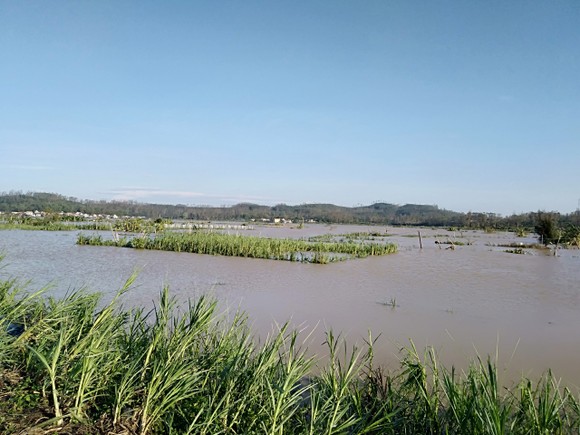 Quảng Ngãi tan hoang sau bão ảnh 2