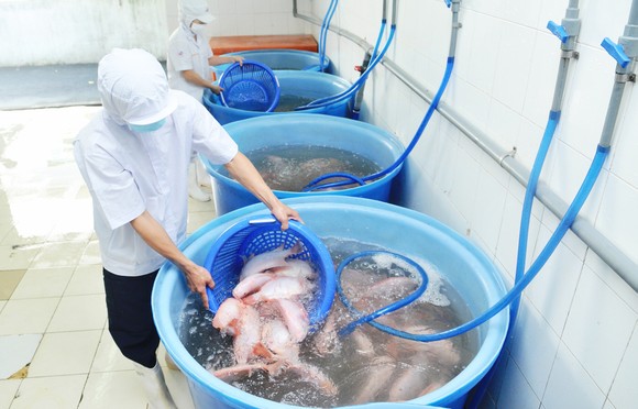 3 khó khăn chính kiềm hãm ngành thủy sản ảnh 1