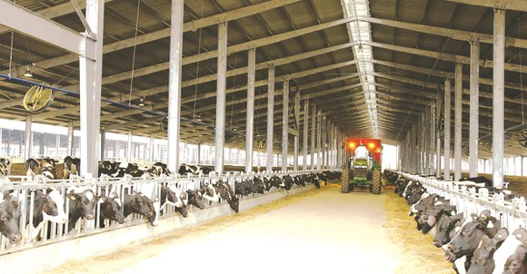 Nữ doanh nhân Thái Hương: 3 lần liên tiếp lọt vào danh sách những phụ nữ có ảnh hưởng nhất Việt Nam ảnh 3
