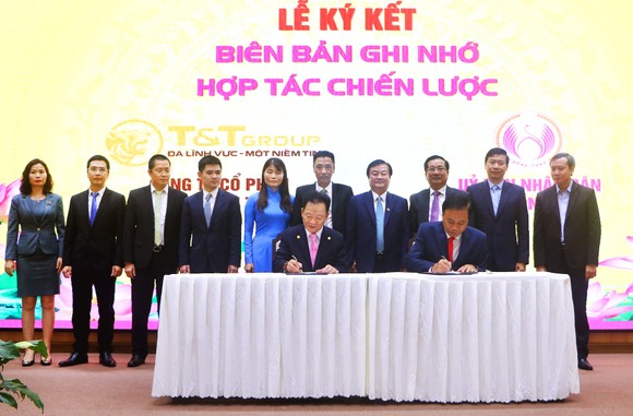 Tập đoàn T&T Group hợp tác chiến lược toàn diện với tỉnh Đồng Tháp ảnh 1
