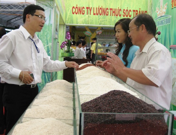 Đường dài của gạo Việt ảnh 1