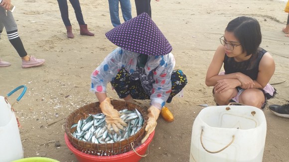 Mùa lưới cá trích ở thành phố biển Vũng Tàu ảnh 6