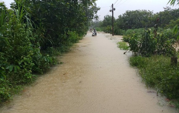 Mưa lớn khiến nhiều khu vực ở Lâm Đồng ngập sâu ảnh 3