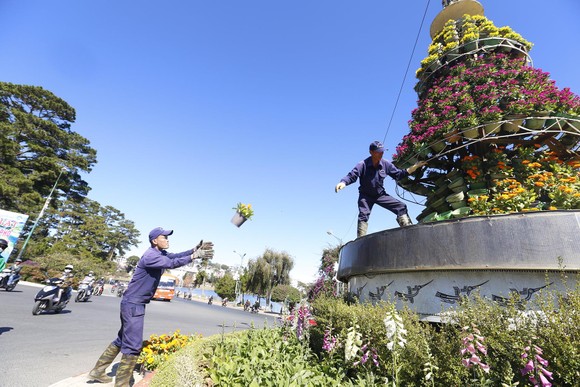 Tiểu cảnh hoa phục vụ Festival hoa Đà Lạt bị trộm ảnh 4