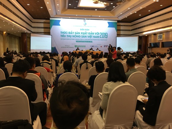 Nông nghiệp Việt Nam đối mặt 5 thách thức năm 2019 ảnh 1