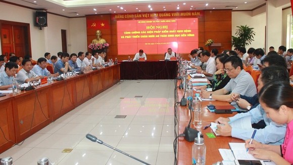 Nuôi heo sinh học để bình ổn giá thực phẩm Tết Nguyên đán Canh Tý 2020 ảnh 1