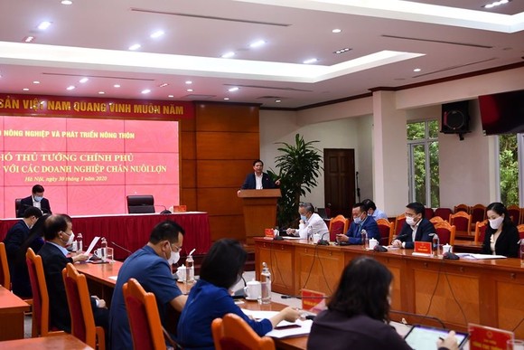 Doanh nghiệp đồng hành cùng Chính phủ giảm giá heo xuống 60.000 đồng/kg ảnh 1