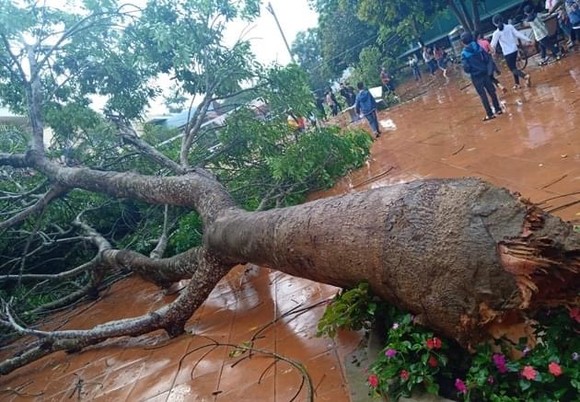Thiên tai đầu mùa làm 17 người thương vong ảnh 1
