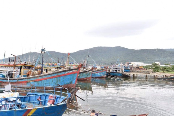 Phó Thủ tướng Trịnh Đình Dũng đang ở tâm bão để chỉ huy ứng phó ảnh 4