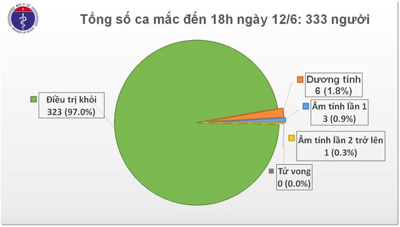 Phát hiện một thuyền viên tàu biển mắc Covid-19 ảnh 2