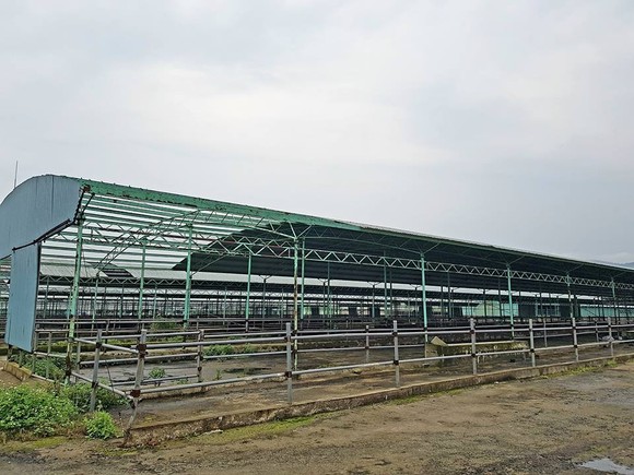Khởi tố, bắt giam nguyên tổng giám đốc công ty cổ phần chăn nuôi Bình Hà ảnh 1