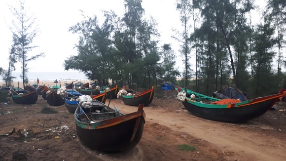 Các tỉnh miền Trung nỗ lực ứng phó bão số 4 ảnh 10
