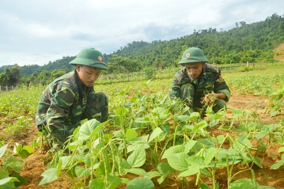 Hiệu quả từ mô hình '5 vườn, 3 giàn' của Bộ đội Biên phòng Hà Tĩnh ảnh 4