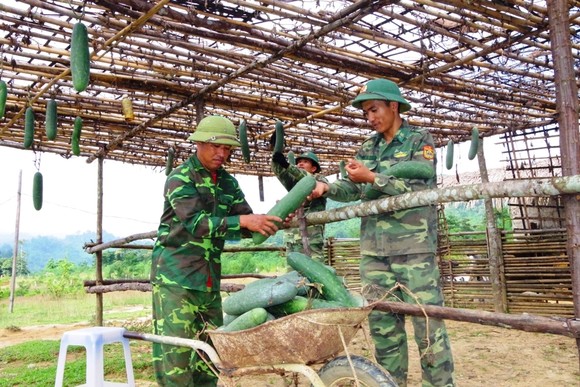 Hiệu quả từ mô hình '5 vườn, 3 giàn' của Bộ đội Biên phòng Hà Tĩnh ảnh 10