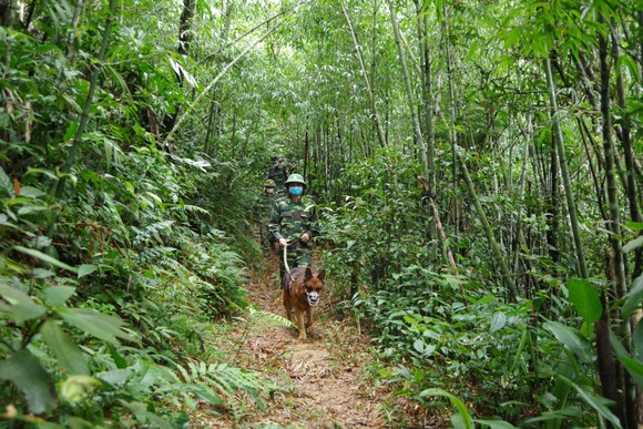 Kiểm soát chặt chẽ khu vực biên giới Việt - Lào nhằm ngăn chặn người dân vượt biên trái phép ảnh 7
