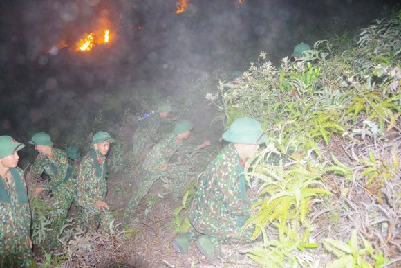 Cơ bản khống chế được đám cháy rừng ở Hà Tĩnh ảnh 12