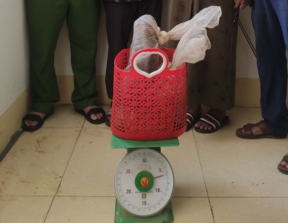 Bắt đối tượng vận chuyển 2 con rắn hổ mang nặng 6kg ảnh 1