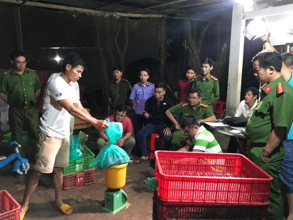 Bắt đối tượng buôn bán động vật hoang dã quý hiếm số lượng lớn ảnh 1