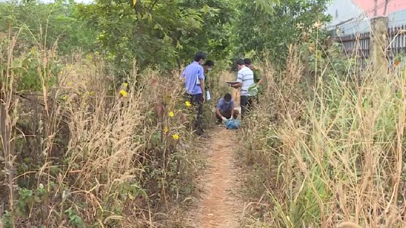 Phát hiện thi thể người đàn ông đang phân hủy dưới gốc cây ảnh 1