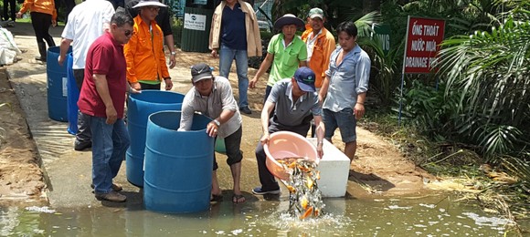 VWS tái sinh nguồn thủy sản cho Rạch Chiếu ảnh 1