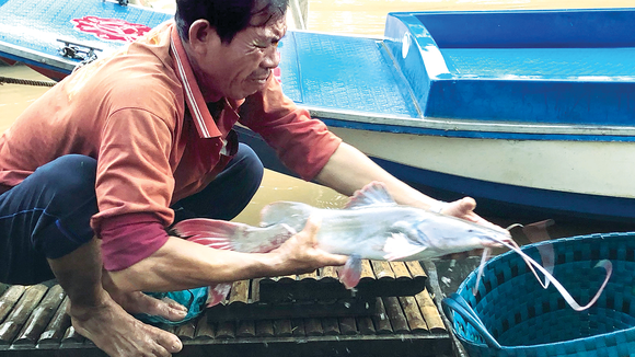 Mưu sinh… lũ muộn ảnh 5