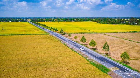 Giúp nông dân thạo nghề trồng lúa ảnh 1