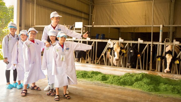 Sữa học đường: “Trăm nghe” và… đã thấy ảnh 1