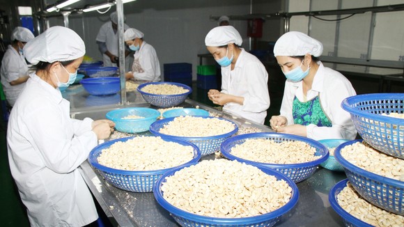 du bao xuat khau dieu se tang cao nhung thang cuoi nam