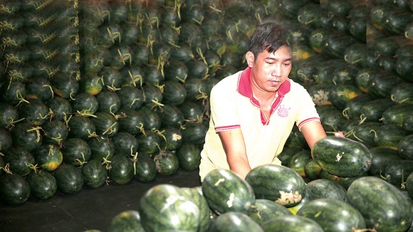 Hàng tết ùa về thành phố ảnh 3