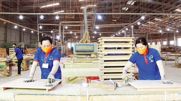 Khơi thông ngành gỗ bền vững ảnh 6