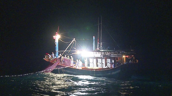 Lộc biển đầu hè ảnh 1
