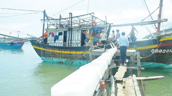 Lộc biển đầu hè ảnh 2