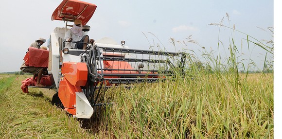 Định vị sản phẩm nông nghiệp ảnh 1