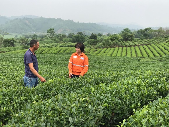Quỹ vốn vay phục hồi kinh tế - điểm sáng về nguồn vốn cho vay tại Thái Nguyên ảnh 2