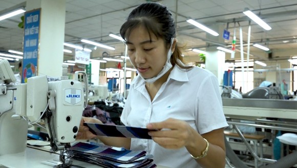 Ngành may thiếu vải ảnh 1